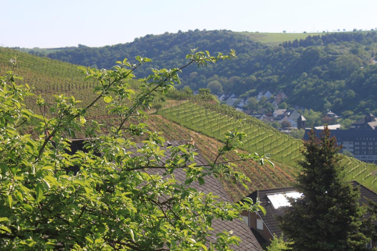 Ferienwohnung Klosterberg Lehmen Esterno foto